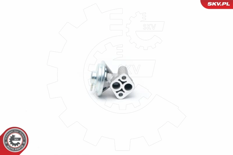 EGR Valve